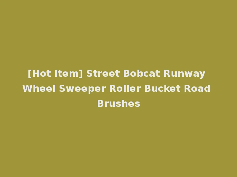 [Hot Item] Street Bobcat Runway Wheel Sweeper Roller Bucket Road Brushes