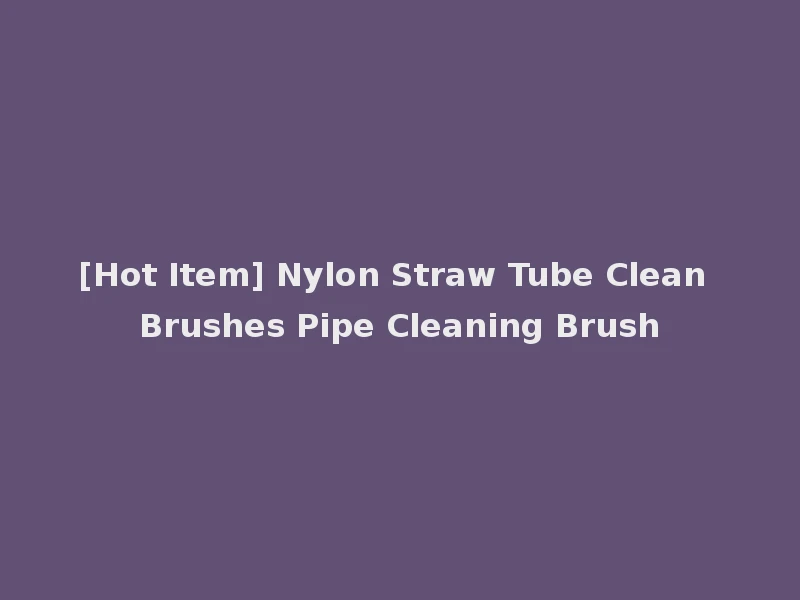 [Hot Item] Nylon Straw Tube Clean Brushes Pipe Cleaning Brush
