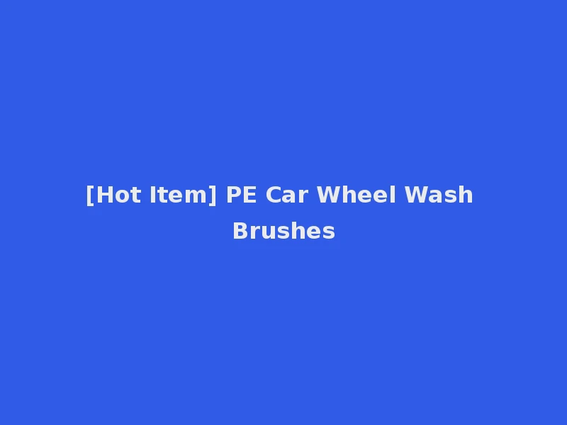 [Hot Item] PE Car Wheel Wash Brushes