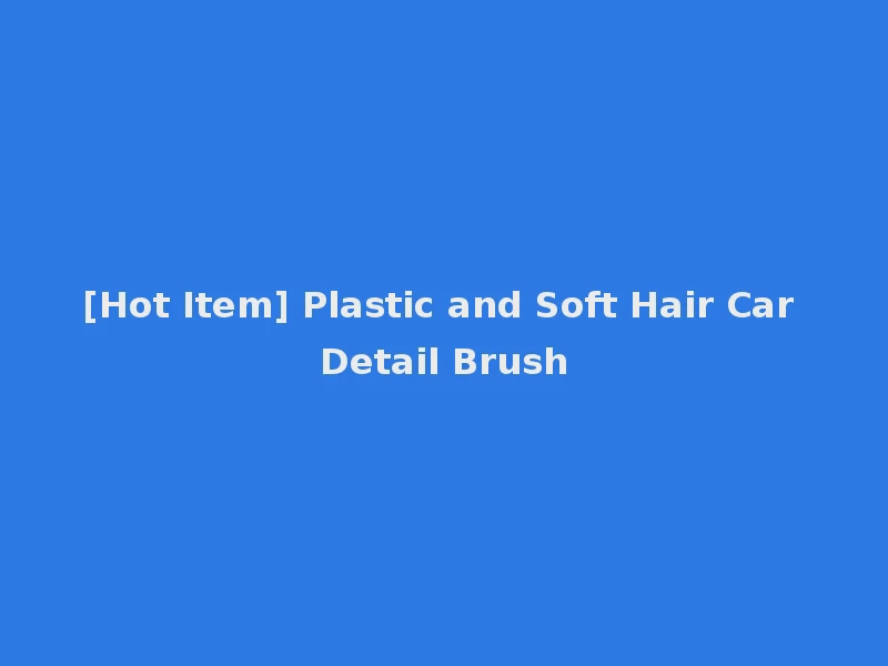 [Hot Item] Plastic and Soft Hair Car Detail Brush