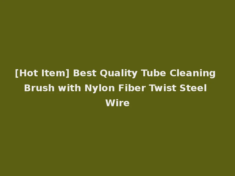 [Hot Item] Best Quality Tube Cleaning Brush with Nylon Fiber Twist Steel Wire