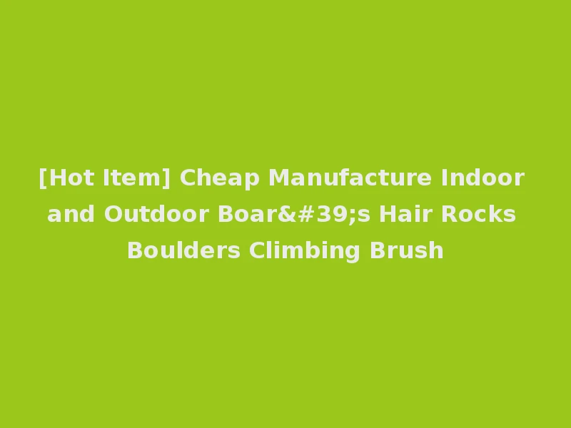 [Hot Item] Cheap Manufacture Indoor and Outdoor Boar's Hair Rocks Boulders Climbing Brush