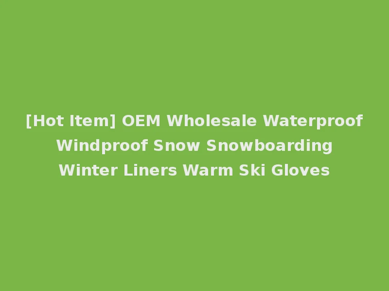 [Hot Item] OEM Wholesale Waterproof Windproof Snow Snowboarding Winter Liners Warm Ski Gloves