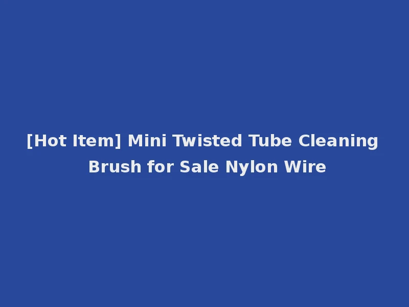 [Hot Item] Mini Twisted Tube Cleaning Brush for Sale Nylon Wire