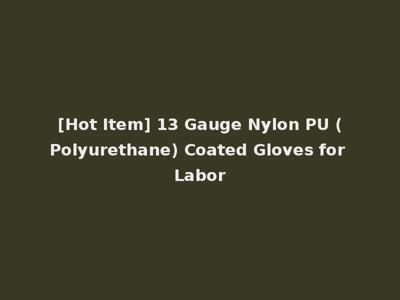 [Hot Item] 13 Gauge Nylon PU (Polyurethane) Coated Gloves for Labor