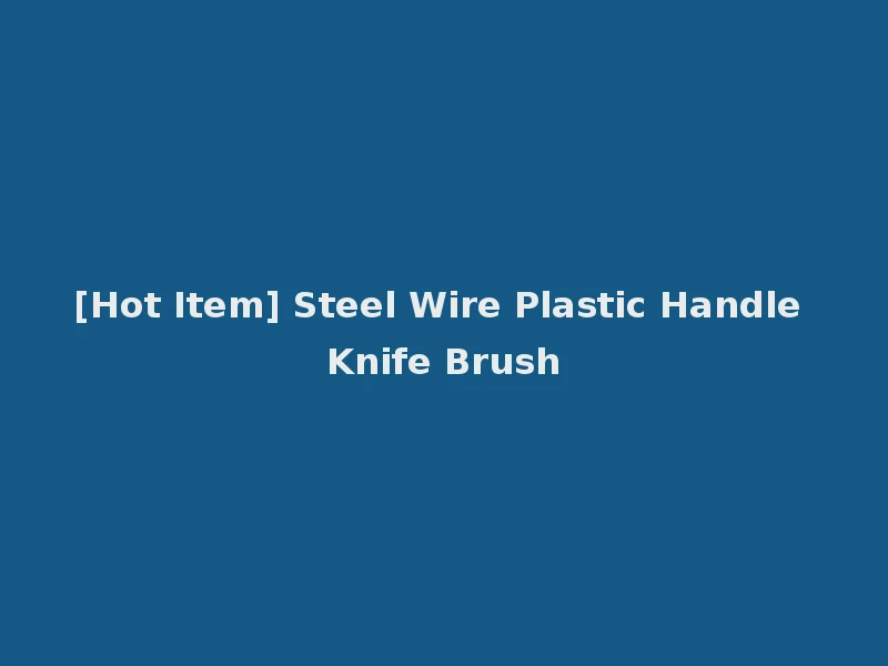 [Hot Item] Steel Wire Plastic Handle Knife Brush