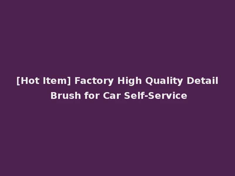 [Hot Item] Factory High Quality Detail Brush for Car Self-Service