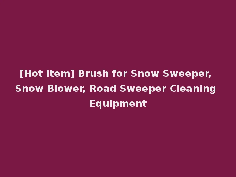 [Hot Item] Brush for Snow Sweeper, Snow Blower, Road Sweeper Cleaning Equipment