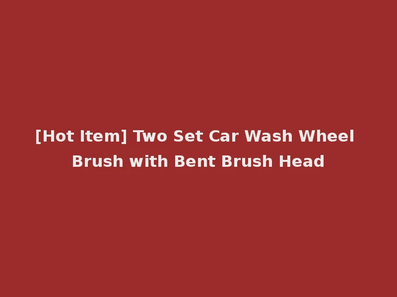 [Hot Item] Two Set Car Wash Wheel Brush with Bent Brush Head