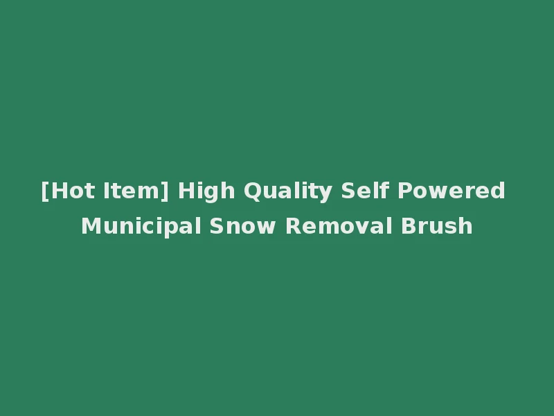 [Hot Item] High Quality Self Powered Municipal Snow Removal Brush