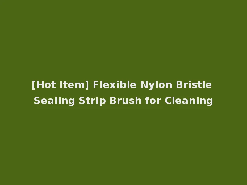 [Hot Item] Flexible Nylon Bristle Sealing Strip Brush for Cleaning