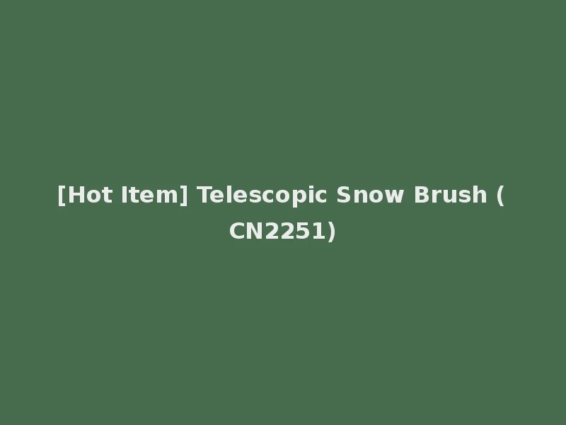 [Hot Item] Telescopic Snow Brush (CN2251)