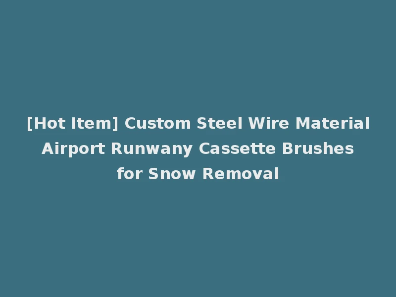 [Hot Item] Custom Steel Wire Material Airport Runwany Cassette Brushes for Snow Removal