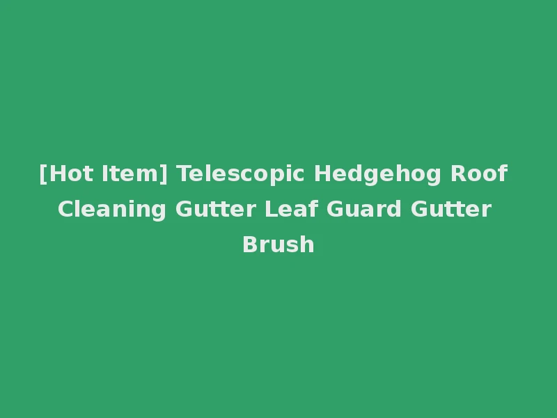 [Hot Item] Telescopic Hedgehog Roof Cleaning Gutter Leaf Guard Gutter Brush