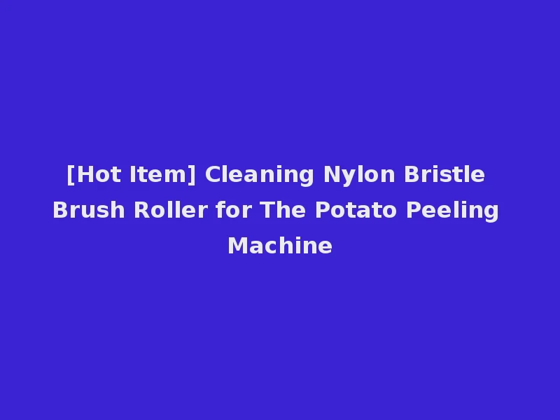 [Hot Item] Cleaning Nylon Bristle Brush Roller for The Potato Peeling Machine