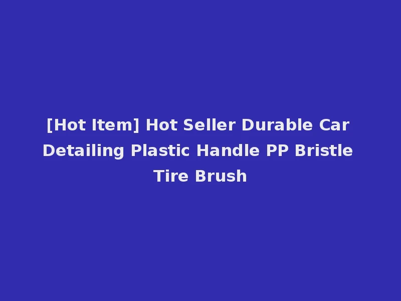 [Hot Item] Hot Seller Durable Car Detailing Plastic Handle PP Bristle Tire Brush
