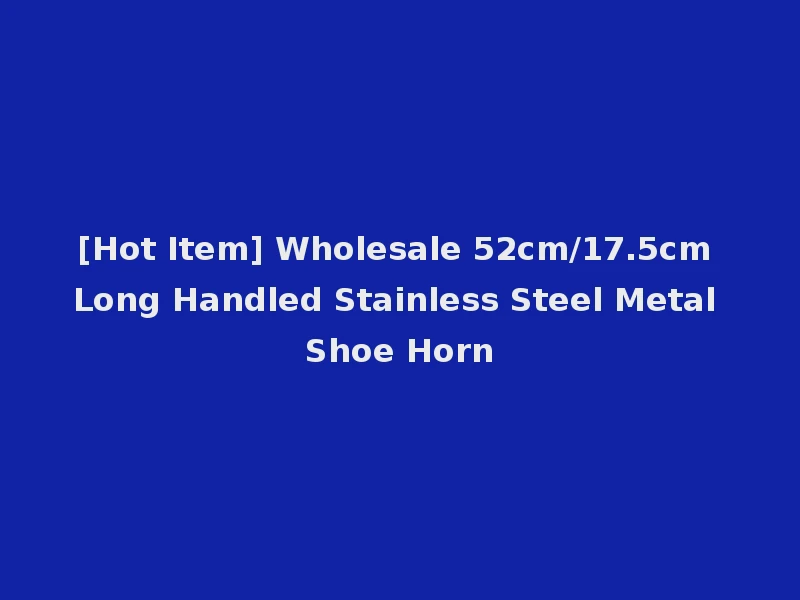 [Hot Item] Wholesale 52cm/17.5cm Long Handled Stainless Steel Metal Shoe Horn