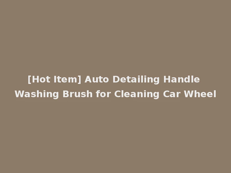 [Hot Item] Auto Detailing Handle Washing Brush for Cleaning Car Wheel