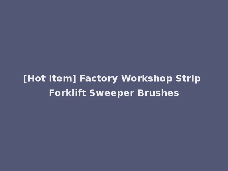 [Hot Item] Factory Workshop Strip Forklift Sweeper Brushes