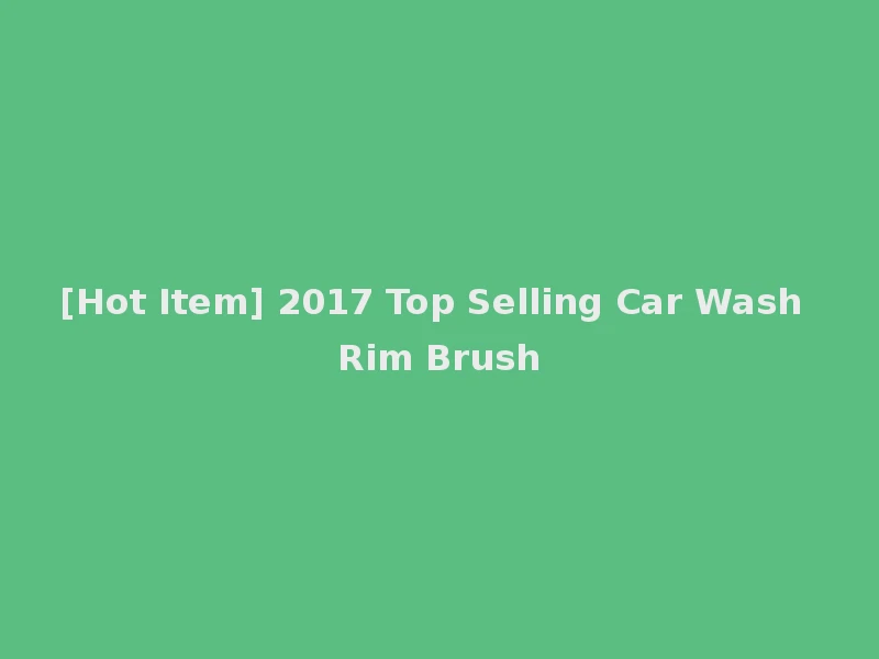 [Hot Item] 2017 Top Selling Car Wash Rim Brush
