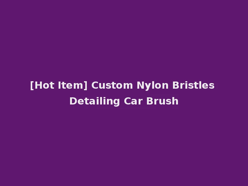 [Hot Item] Custom Nylon Bristles Detailing Car Brush