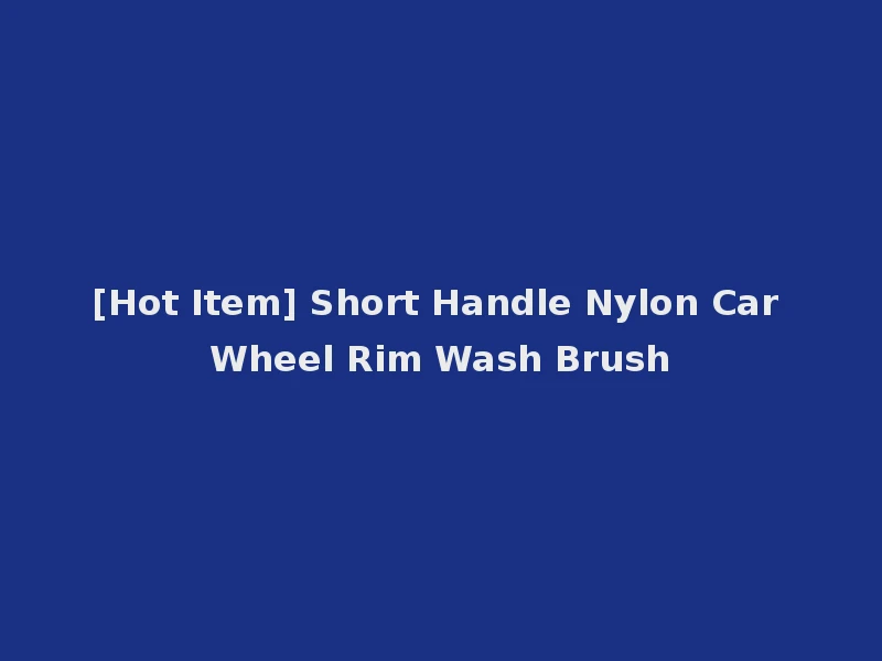 [Hot Item] Short Handle Nylon Car Wheel Rim Wash Brush