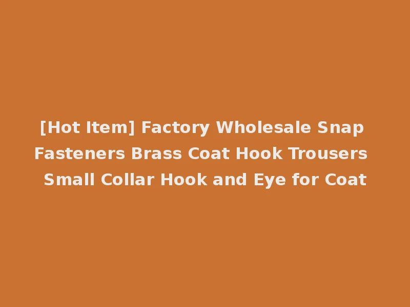[Hot Item] Factory Wholesale Snap Fasteners Brass Coat Hook Trousers Small Collar Hook and Eye for Coat