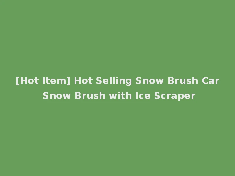 [Hot Item] Hot Selling Snow Brush Car Snow Brush with Ice Scraper