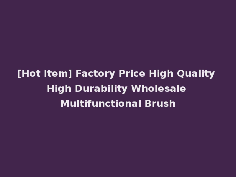 [Hot Item] Factory Price High Quality High Durability Wholesale Multifunctional Brush