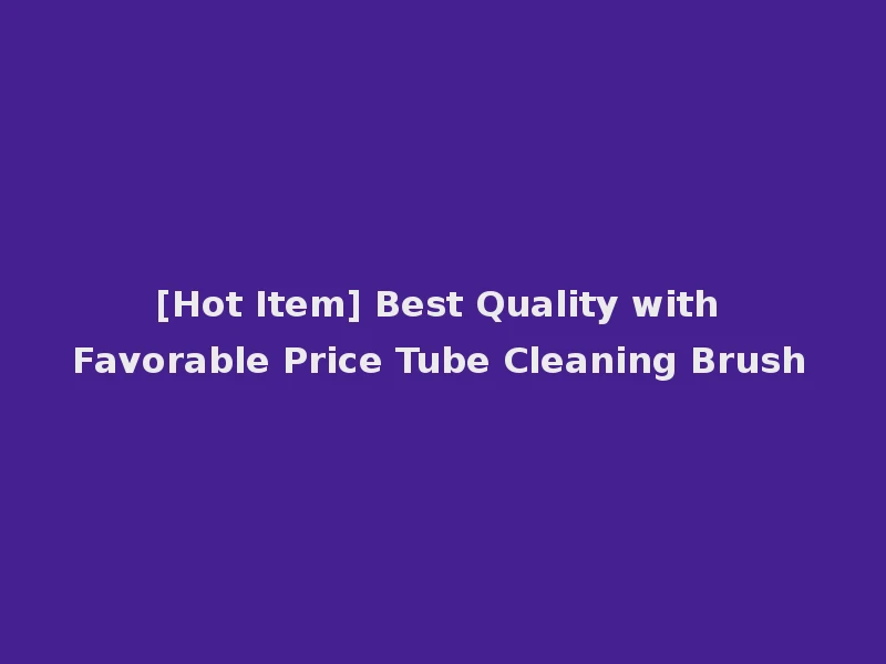 [Hot Item] Best Quality with Favorable Price Tube Cleaning Brush