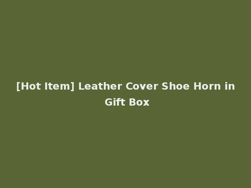 [Hot Item] Leather Cover Shoe Horn in Gift Box