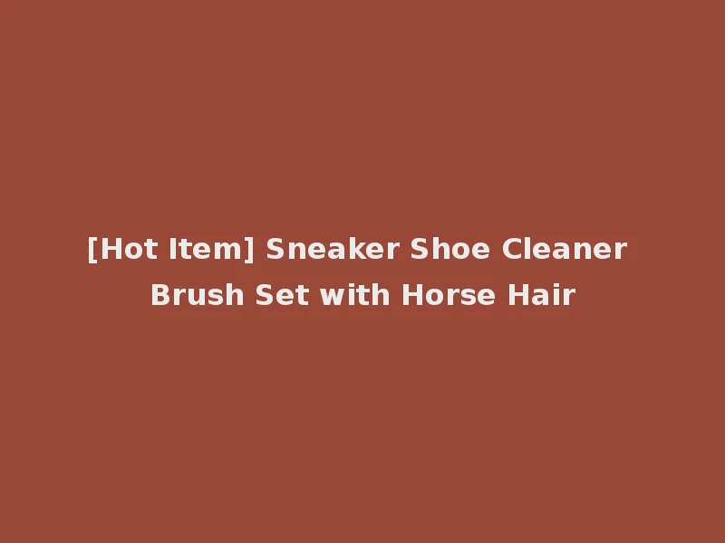 [Hot Item] Sneaker Shoe Cleaner Brush Set with Horse Hair