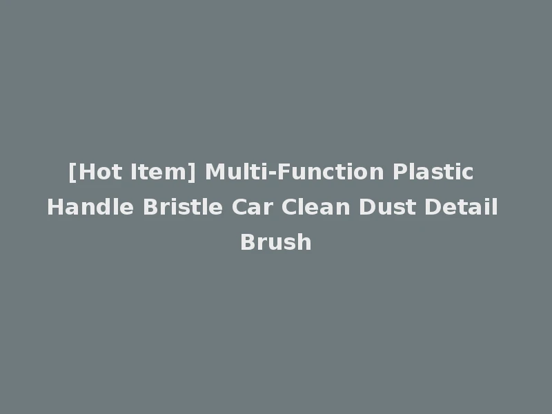 [Hot Item] Multi-Function Plastic Handle Bristle Car Clean Dust Detail Brush