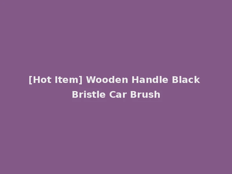 [Hot Item] Wooden Handle Black Bristle Car Brush