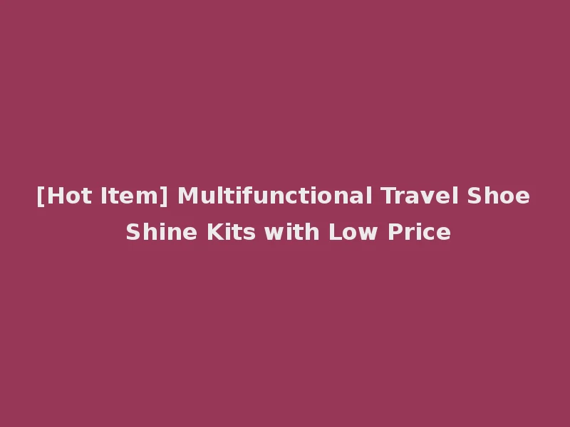 [Hot Item] Multifunctional Travel Shoe Shine Kits with Low Price