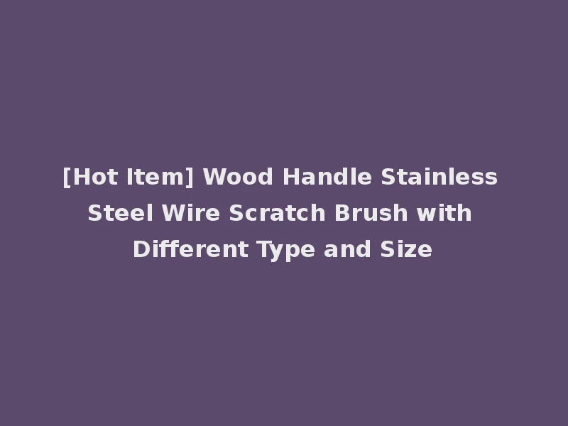 [Hot Item] Wood Handle Stainless Steel Wire Scratch Brush with Different Type and Size