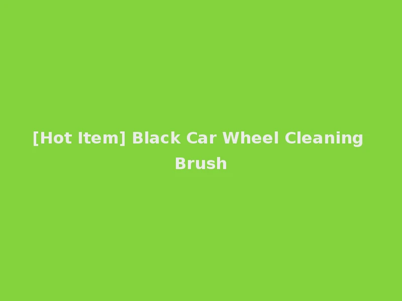 [Hot Item] Black Car Wheel Cleaning Brush