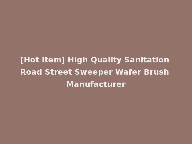 [Hot Item] High Quality Sanitation Road Street Sweeper Wafer Brush Manufacturer