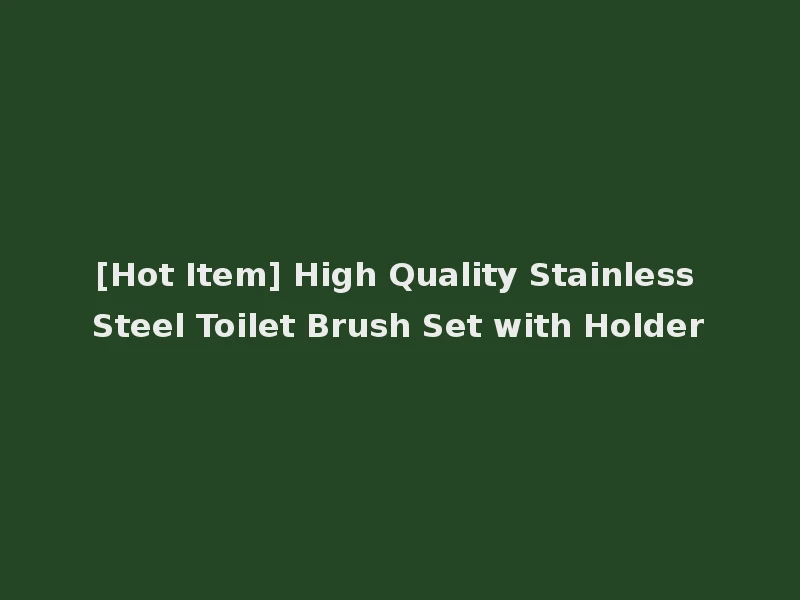 [Hot Item] High Quality Stainless Steel Toilet Brush Set with Holder