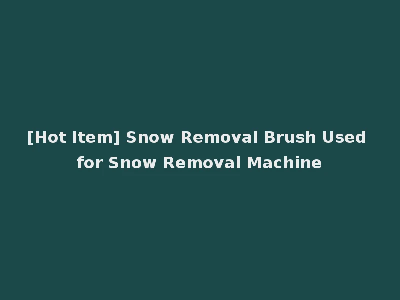 [Hot Item] Snow Removal Brush Used for Snow Removal Machine