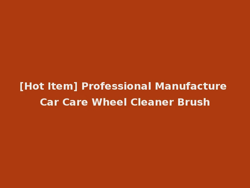 [Hot Item] Professional Manufacture Car Care Wheel Cleaner Brush