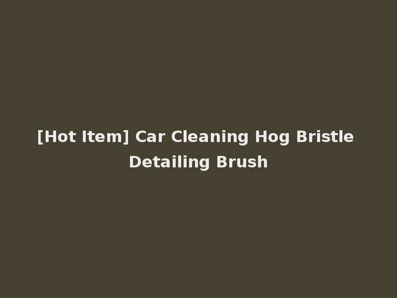 [Hot Item] Car Cleaning Hog Bristle Detailing Brush