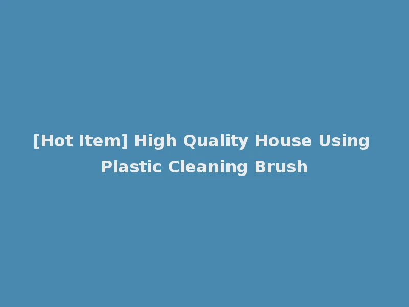 [Hot Item] High Quality House Using Plastic Cleaning Brush