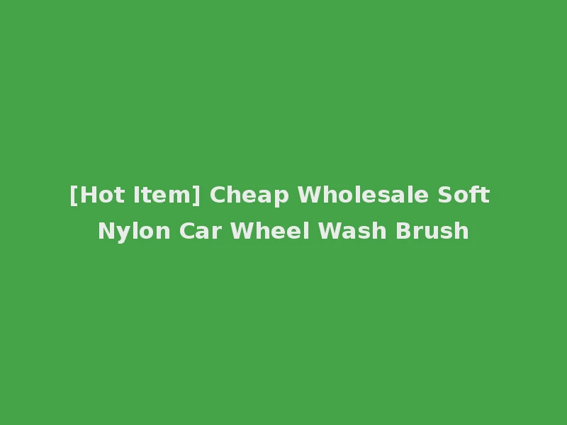 [Hot Item] Cheap Wholesale Soft Nylon Car Wheel Wash Brush