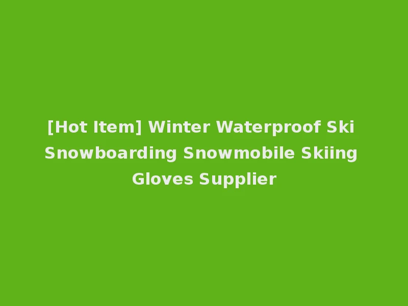 [Hot Item] Winter Waterproof Ski Snowboarding Snowmobile Skiing Gloves Supplier