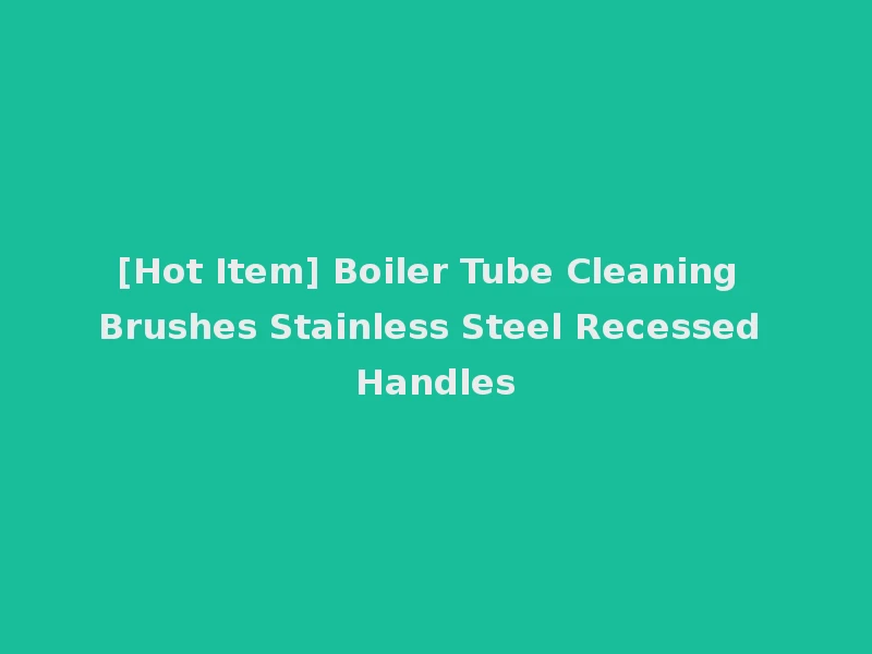[Hot Item] Boiler Tube Cleaning Brushes Stainless Steel Recessed Handles