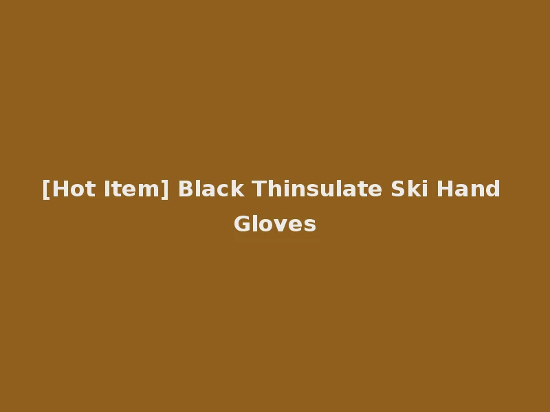 [Hot Item] Black Thinsulate Ski Hand Gloves