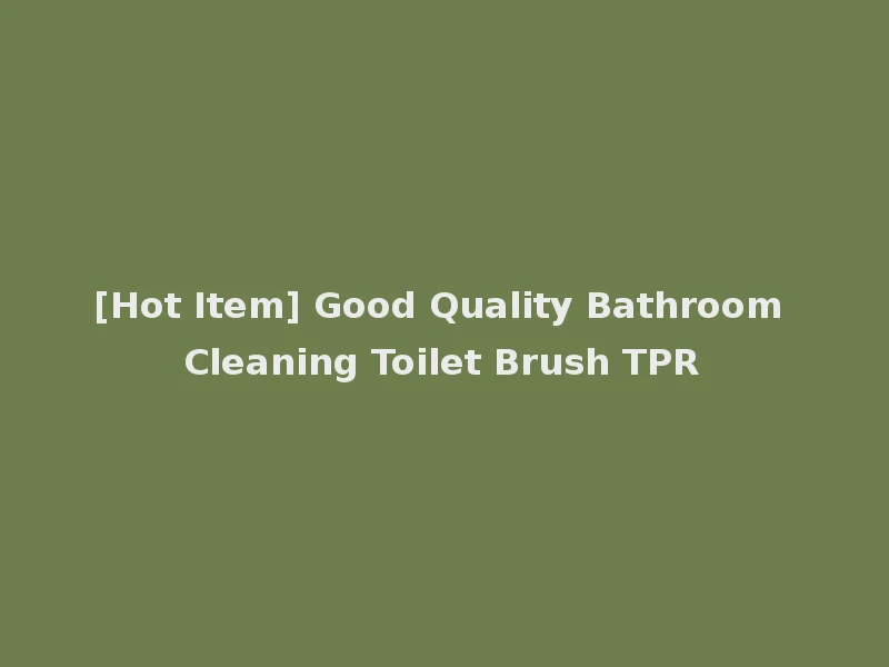 [Hot Item] Good Quality Bathroom Cleaning Toilet Brush TPR