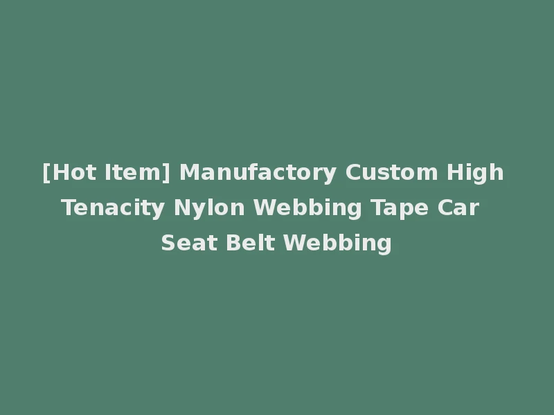 [Hot Item] Manufactory Custom High Tenacity Nylon Webbing Tape Car Seat Belt Webbing