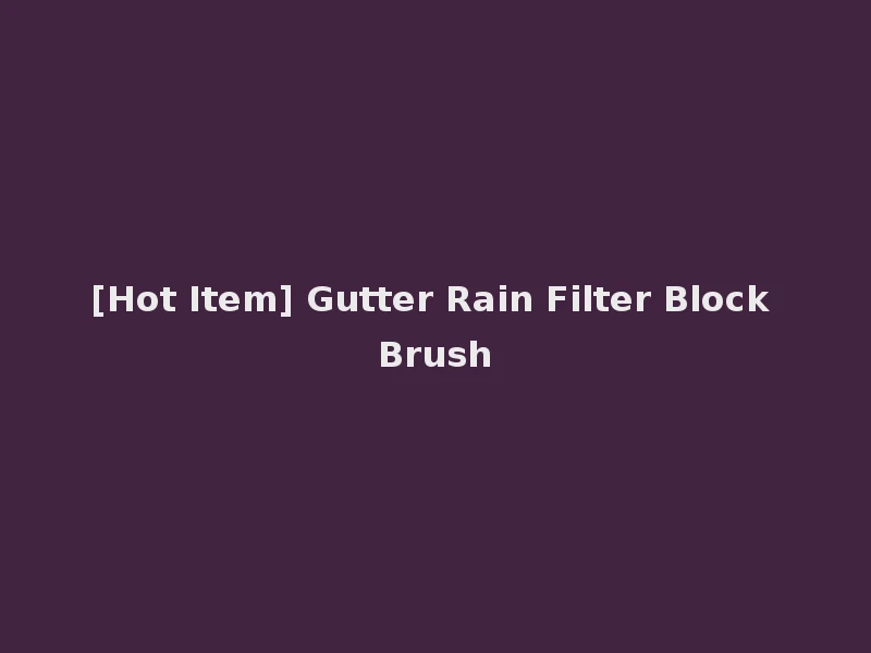 [Hot Item] Gutter Rain Filter Block Brush